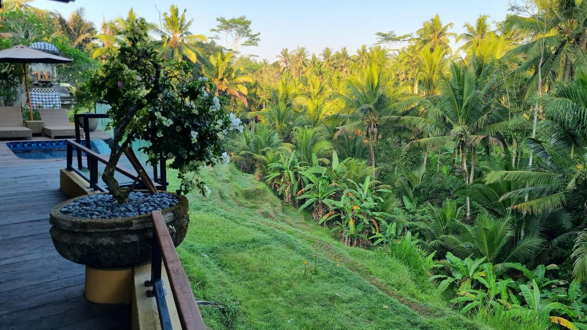 Resort Puri Sebali 5*