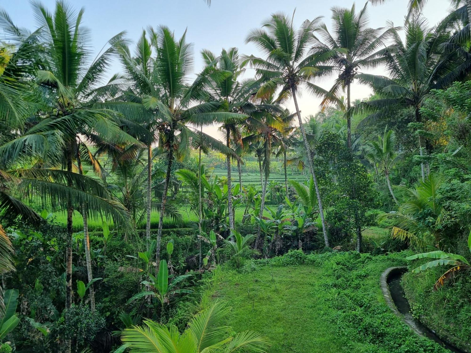 Puri Sebali