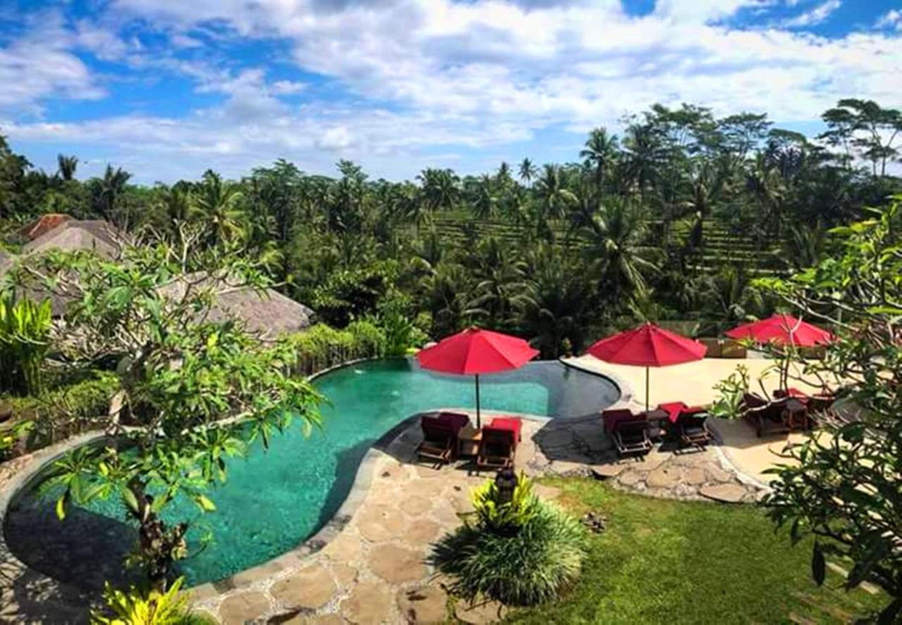 Puri Sebali 5*